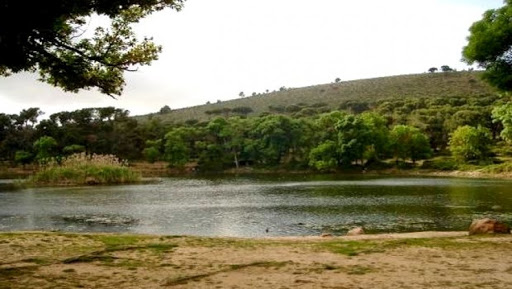 Constantine : le ramage des oiseaux salue la venue de l’hiver à Djebel Ouahch