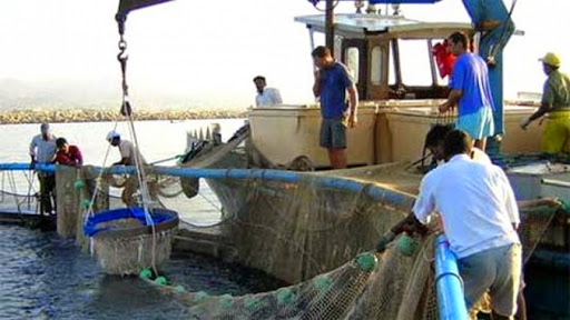 Convention entre les ministères de l’Agriculture et de la Pêche pour le contrôle des produits de la pêche