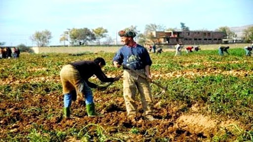 Des citoyens réagissent aux dernières mesures du gouvernement, Le sujet qui fait peur à Bouira