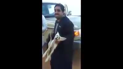 Des émirs torturent les fennecs