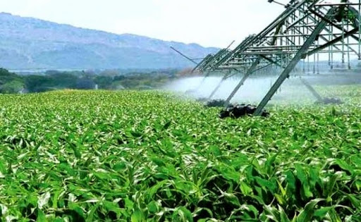 Des ressources en eau supplémentaires prévues pour l’agriculture au prochain quinquennat