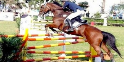 Equitation: le cavalier Maachou remporte le prix Lachachi-Badreddine du concours de saut d’obstacles à Oran