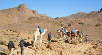 Faute d&rsquo;avoir trouvé une alternative à la rente de pétrole, Comment finirons-nous?