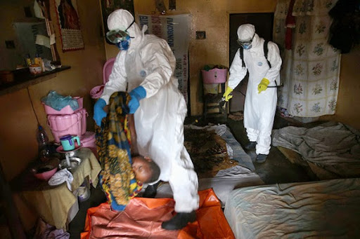 Fièvre Ebola, Pr Senhadji avertit : «L’Algérie n’est pas habituée à gérer des épidémies»