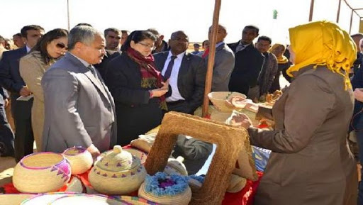 Hâter les études techniques de trois ZET pour promouvoir l’investissement touristique à Ouargla