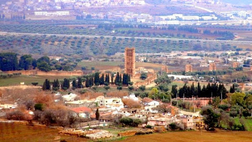 Hauts plateaux de l’Ouest : huit projets de développement pour Tlemcen