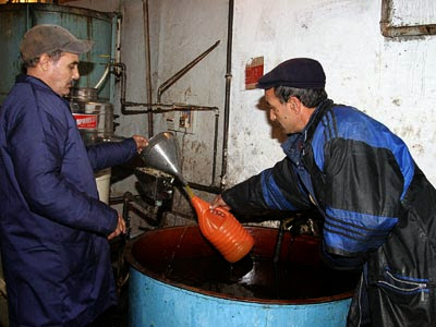 Huile d’olive, Une récolte attendue de 60.000 à 70.000 tonnes