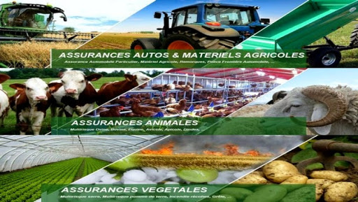 La sensibilisation sur l’importance des assurances agricoles au centre des portes ouvertes de la CNMA