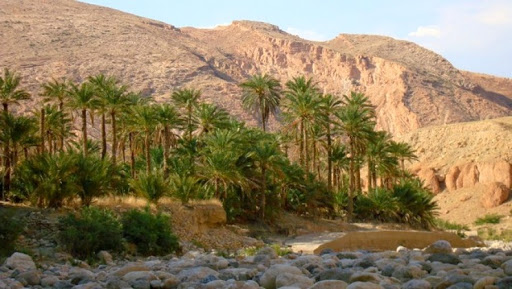 La wilaya de Biskra entend valoriser les « balcons » d’Ahchane