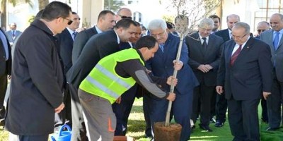 Le président Abbas plante un olivier à Alger, symbole des relations fraternelles algéro-palestiniennes