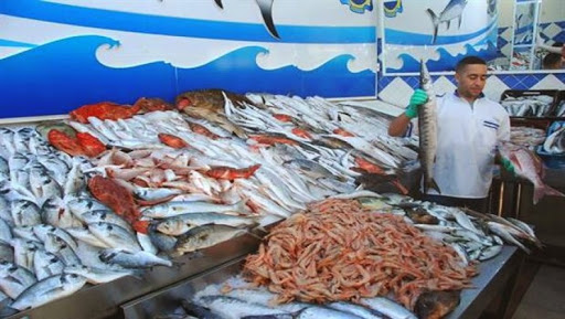 Le projet de loi sur la pêche présenté à l&rsquo;APN