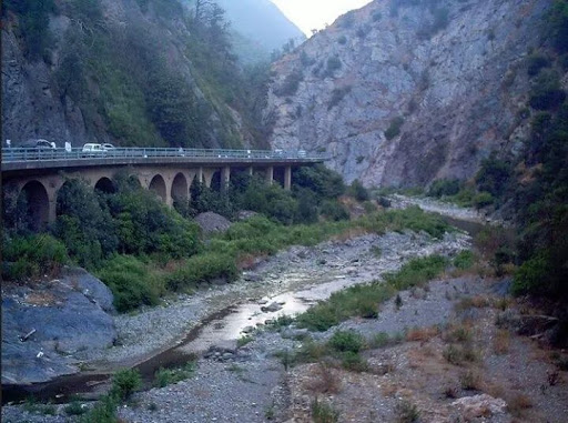 Le tremblement de terre a causé d’importants dégâts à Blida