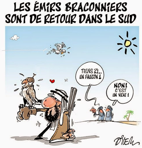 Les émirs braconniers sont de retour dans le sud