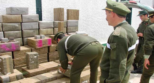 Lutte contre le trafic de drogue : saisie de plus de 80 tonnes et démantèlement de 45 réseaux à travers l’ouest du pays