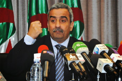 Mohammed Tahmi : « L’Algérie a de fortes chances pour organiser la CAN 2017 »