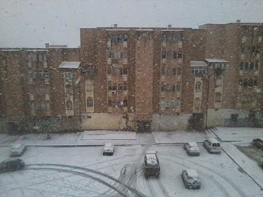 Pluies, vents et neige sur les régions du Nord de l’Algérie jusqu’à jeudi