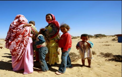Réfugiés sahraouis : L’aide humanitaire internationale ne couvre que 50% des besoins (organisme)