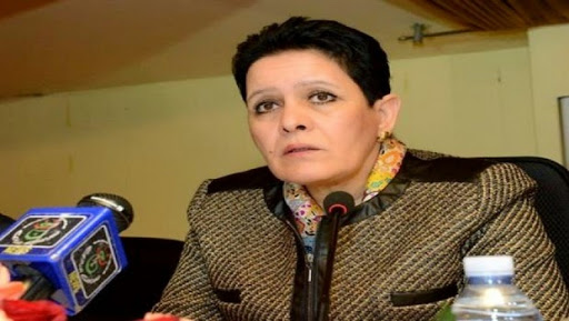 Taxe carbone : l&rsquo;Afrique la rejette « catégoriquement » et s&rsquo;est constituée en « front »