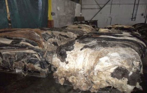 Agriculture: Projet de transformation des déchets de cuir en fertilisants agricoles