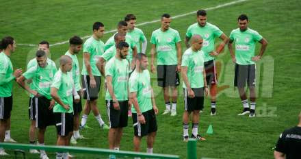 Algérie-AFS : Faites-nous encore rêver !