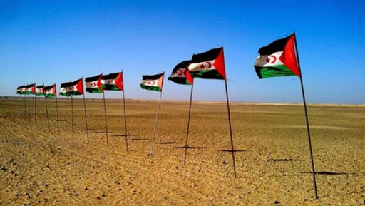 Algérie-Egypte : nécessité de parachever le processus onusien de règlement de la question du Sahara Occidental