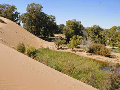 Barrage vert, 3 millions d’hectares seront réhabilités