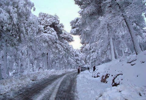 Batna de nouveau sous la neige : joie des enfants, exultation des fellahs
