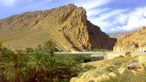 Biskra: le nombre de touristes étrangers a augmenté de plus de 60% en 2014