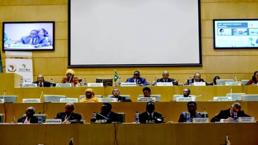 Début à Addis-Abeba des travaux du sommet du NEPAD