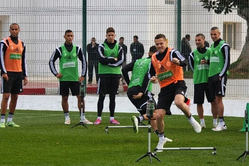 EN : Rencontre avec les supporters algériens à Mongomo