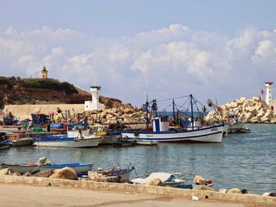 Grand port commercial de Tipasa, Ghoul évoque un financement en dehors du budget de l’Etat