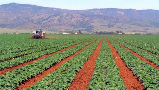 Innovation en agriculture : 25 opérateurs économiques algériens au Texas et en Californie