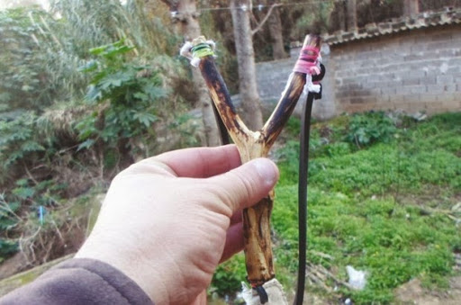 Les jeux interdits à la forêt de Bouchaoui, Le retour du lance-pierre