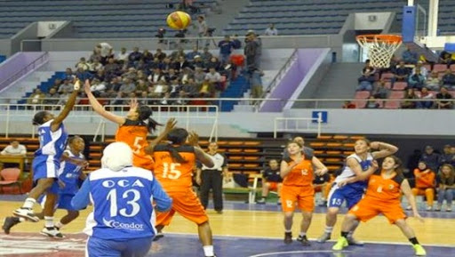 Mondial 2015 (Handball) : septième défaite des Verts face au Chili