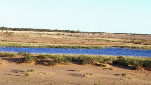 Ouargla : 10 hectares réservés à un centre régional de préparation des équipes