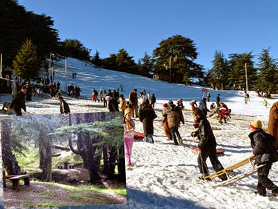 Randonnée à Chréa, Tourisme, photographie et… Facebook