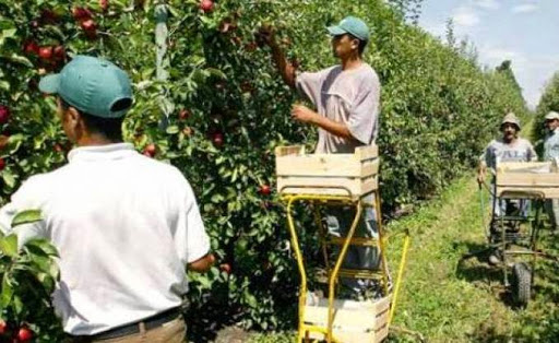 Ressources humaines agricoles, Cap sur la mobilisation de la main d’œuvre jeune
