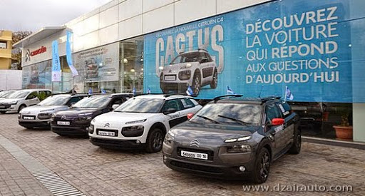 Saida Citroën : la C4 Cactus passe aux essais grand public
