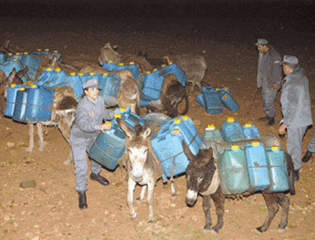 TLEMCEN : Saisie de 290 mille litres de carburant en 2014