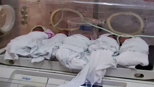 Une « erreur de déclaration » fait croire à un échange de bébés à l’hôpital d’El Bouni (Annaba)