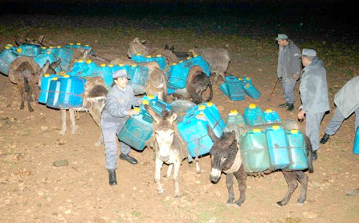 500 contrebandiers arrêtés depuis janvier