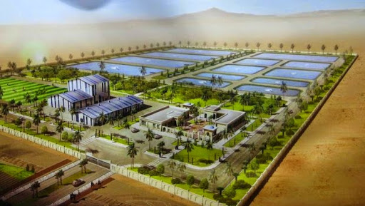 Algérie-Corée : évaluation des programmes de coopération dans le domaine de l’aquaculture