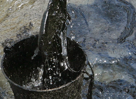 Alors que Bouteflika appelle les dirigeants africains à plus de concertation à ce sujet,  Le pétrole gagne près de 4 dollars en fin de semaine