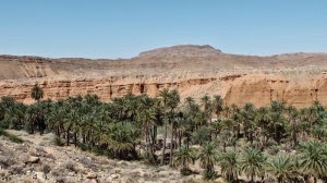 Biskra: Deux zones d’activités prêtes à recevoir des investissements