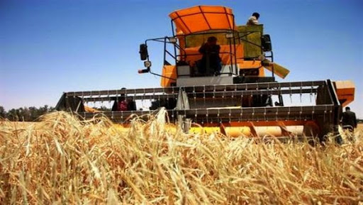 Caisse nationale de mutualité agricole: création de 120 agences en 2014