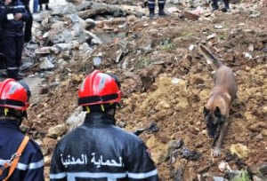 Catastrophes naturelles : l’expérience de l’Algérie mise en valeur