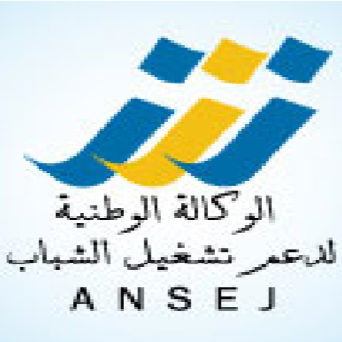 Contrôle économique, L’acquisition des véhicules Ansej à la loupe