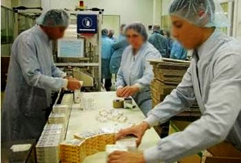 Création de 12 nouveaux groupes industriels, Un plan Marshall pour le secteur public