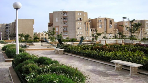 Des associations se mobilisent pour réaménager les espaces verts dans la wilaya d’Alger