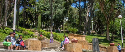 Des associations se mobilsient pour nettoyer les espaces verts d’Alger